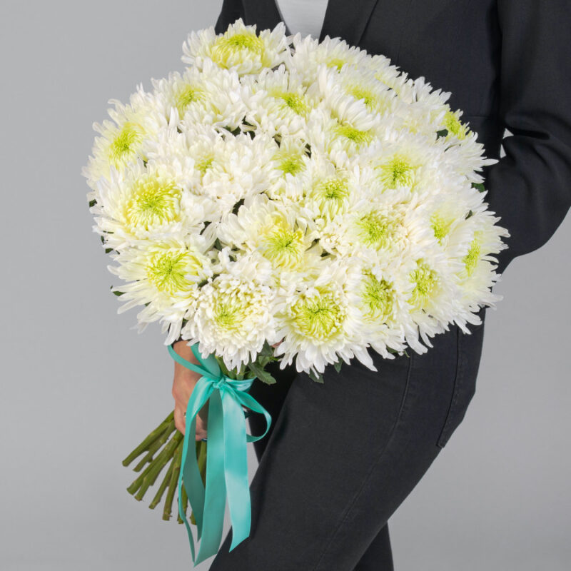 Белые Игольчатые Хризантемы